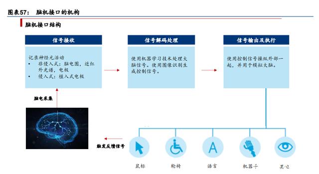 元宇宙行业专题研究：VR、AR、脑机接口是通往元宇宙的入口