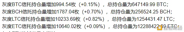 这位74岁的老太太 是昨天砸盘的罪魁祸首