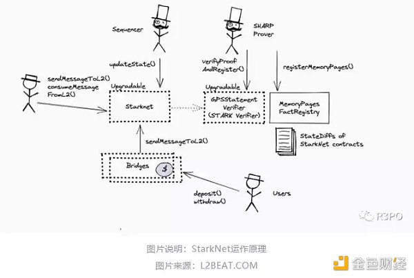 零知识证明网络：一种自顶向下方法