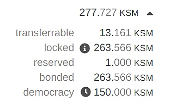 如何参与波卡的民主治理？